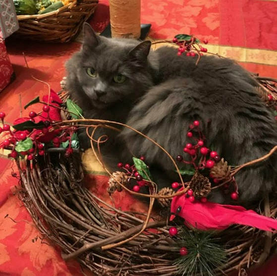 December – Merry Christmas! Some Thoughts  on Having a Merrier Holiday
