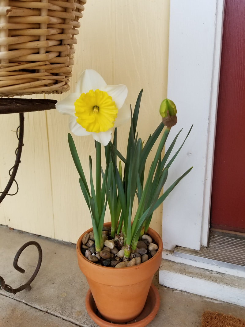 April 2019 – Spring!