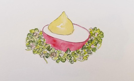 Watercolor painting of a radish with green sprouts.