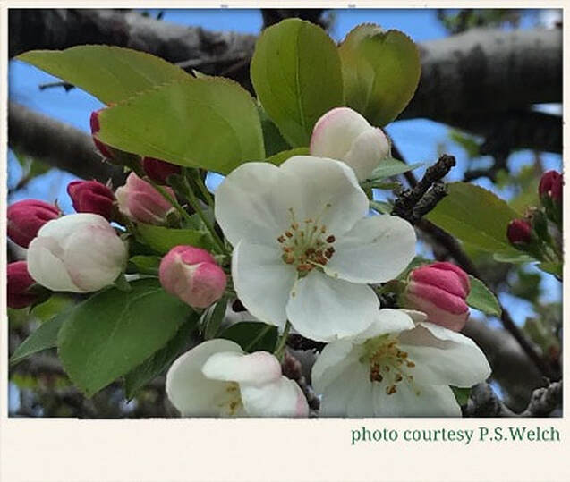 April 2020 – Spring