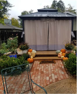 Cozy backyard with a gazebo, pumpkins, and lush greenery.
