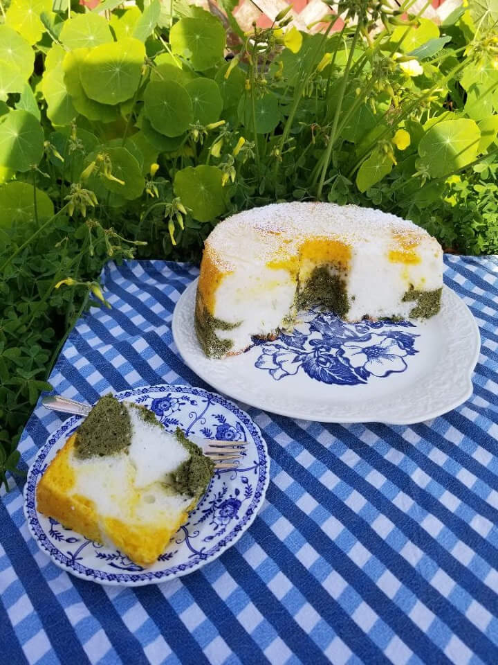 A white gelatin dessert with colorful fruit pieces served on blue and white plates outdoors.