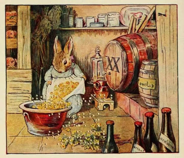 Rabbit in a rustic kitchen pouring grains into a bowl.