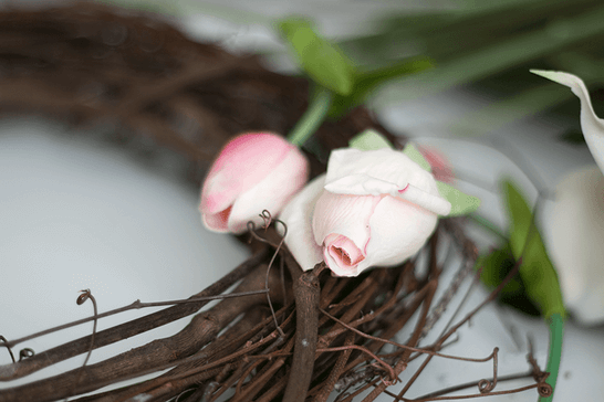 Eggs and Herbs, Easter’s Best Friends