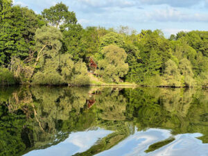 A calm lake reflecting lush green trees under a blue sky.