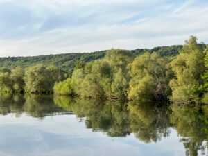Calm river reflecting green trees under a cloudy sky.