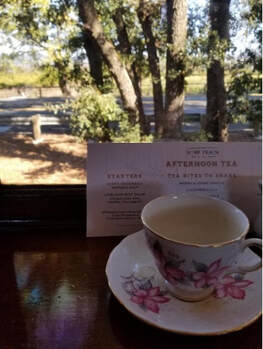 A cup of Earl Grey tea on a floral saucer by a window with trees outside.