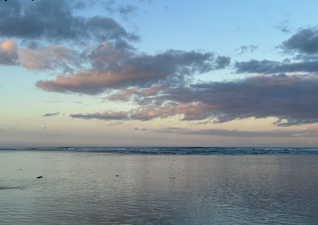 February 2023 – A Traditional Japanese Tea Ceremony in Honolulu