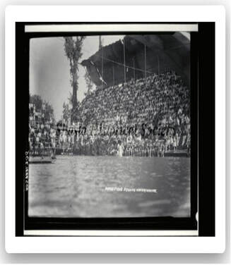 Crowded stadium with spectators watching an event near water.