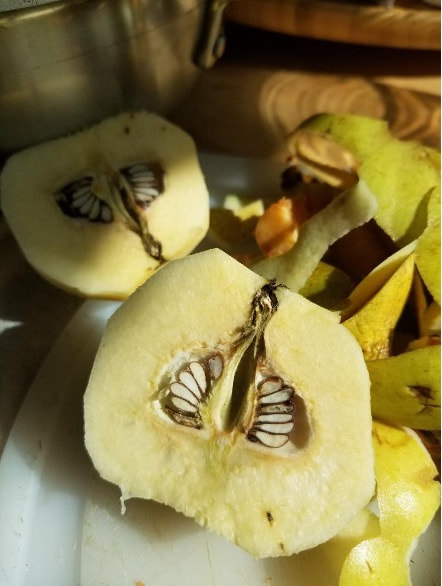 September 2023 Autumn Upside-Down Cakes & Tea for One in the Studio