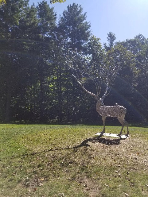 A deer statue stands on a grassy patch with trees in the background.