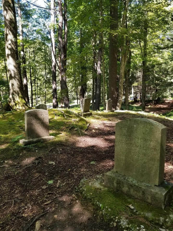 A peaceful old cemetery surrounded by tall trees and sunlight.