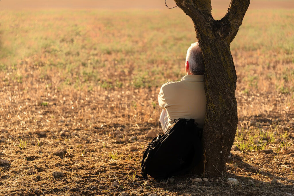 Elderly person resting against a tree in a serene field.