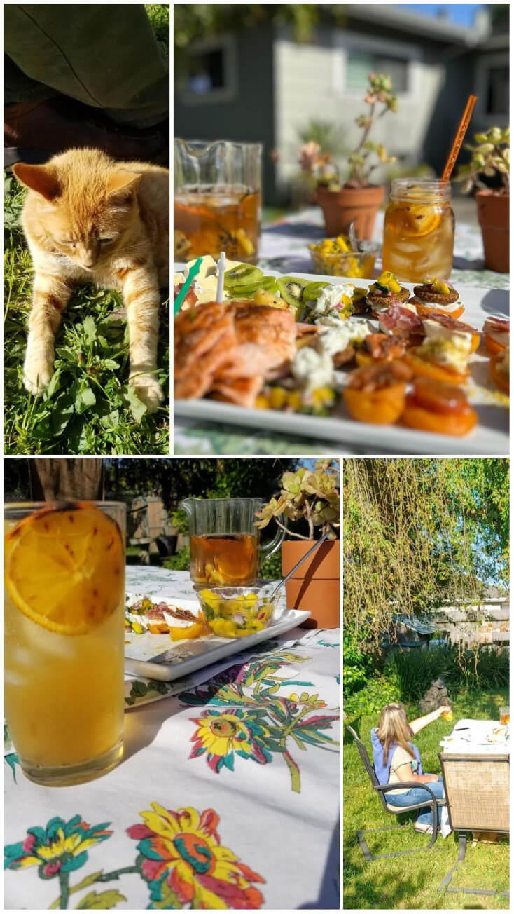 A cat curiously watches a meal on a table set outdoors near a pond.