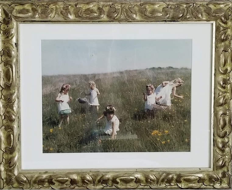 Children playing in a grassy field on a sunny day.