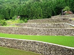 Terraced hillside with stone retaining walls and lush greenery.