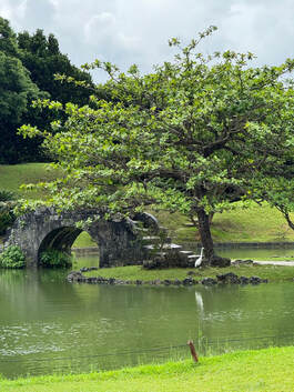 A peaceful stone bridge over a calm pond with a leafy tree nearby.