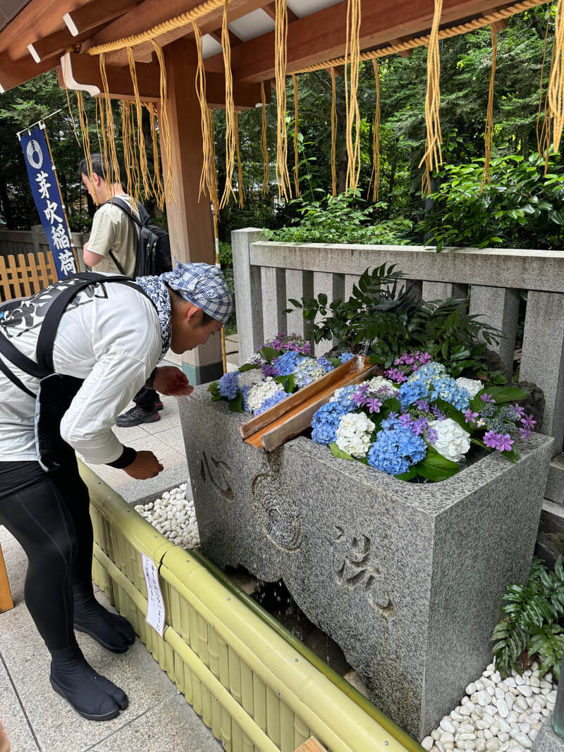 Person cleaning a stone water basin with hydrangeas nearby in a serene garden.