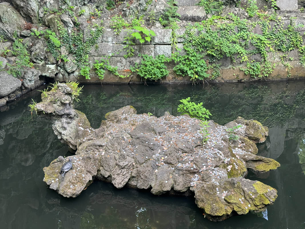 A large, irregular rock formation surrounded by water and greenery.