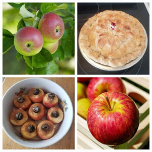 Fresh apples and various apple dishes including pie and baked apples.