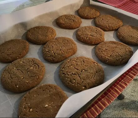 Freshly baked ginger cookies cooling on a tray.