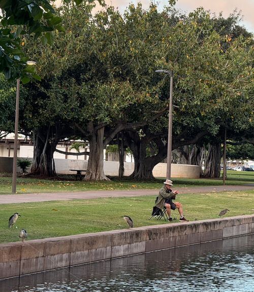 A person sitting by the water with a fishing rod.