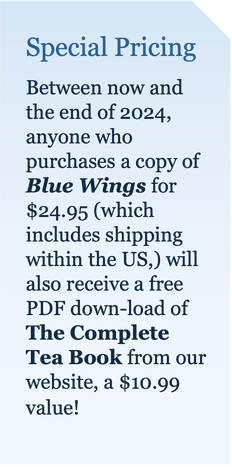 Promotional text about buying Blue Wings book with free PDF and shipping.