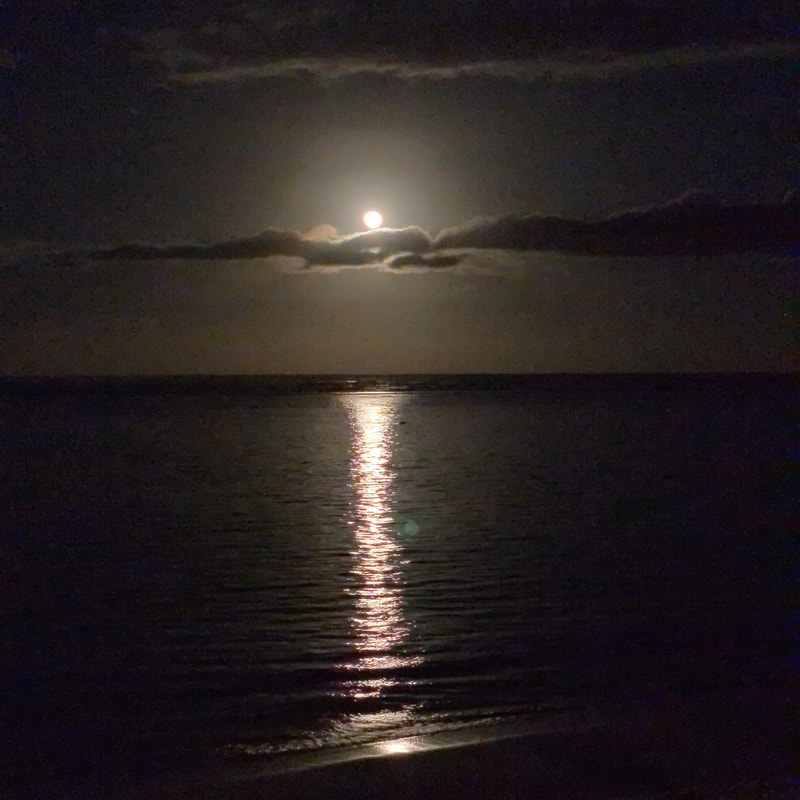 Moonlight reflecting on calm ocean waters at night.