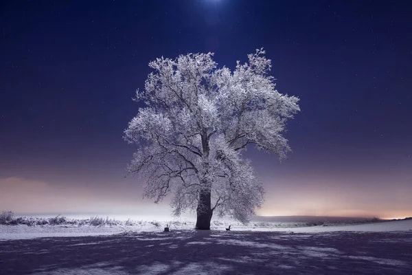 January 2025 – The Wonders of Winter
