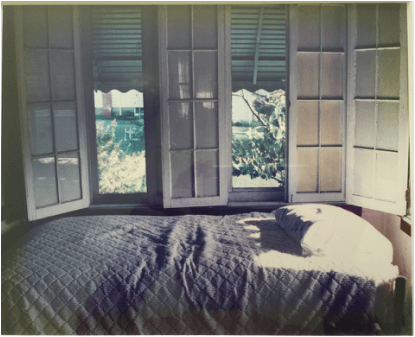 Cozy bed by large windows with a serene outdoor view.