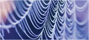 Close-up of a spider web with dewdrops on a dark background.