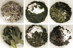 Various types of dried tea leaves arranged in circular patterns.