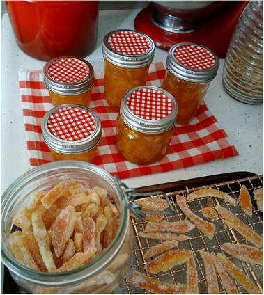 Jars of homemade preserved fruit on a checkered cloth.