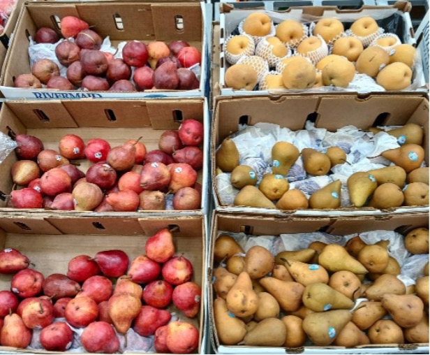 Multiple crates filled with various fresh fruits including peaches, pears, and nectarines.