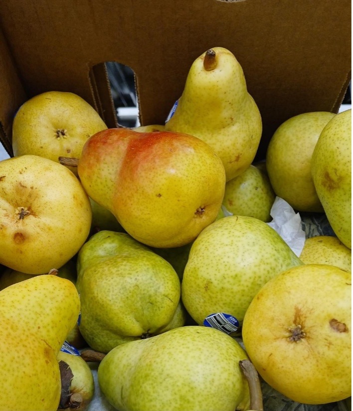 A pile of fresh green and yellow pears with one red-tinged pear.