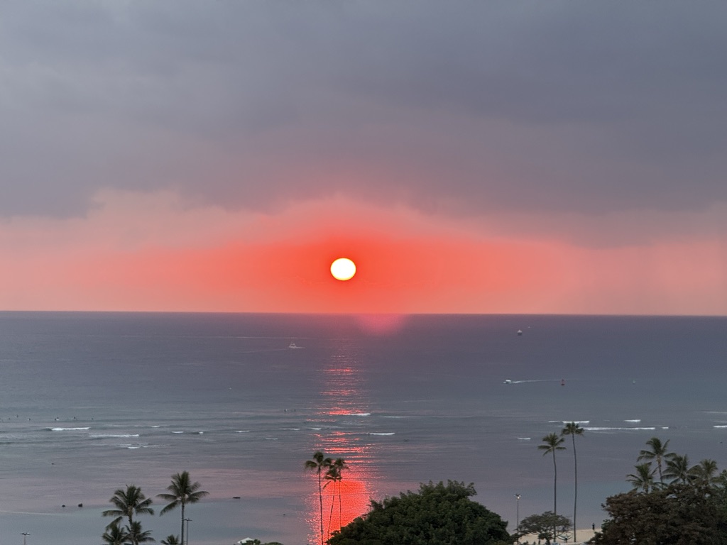 Sunset over a calm ocean with silhouetted palm trees.