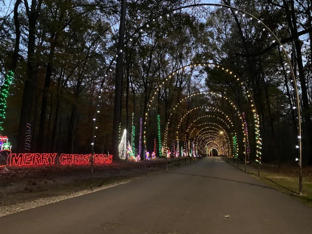 Christmas light tunnel in wooded area.